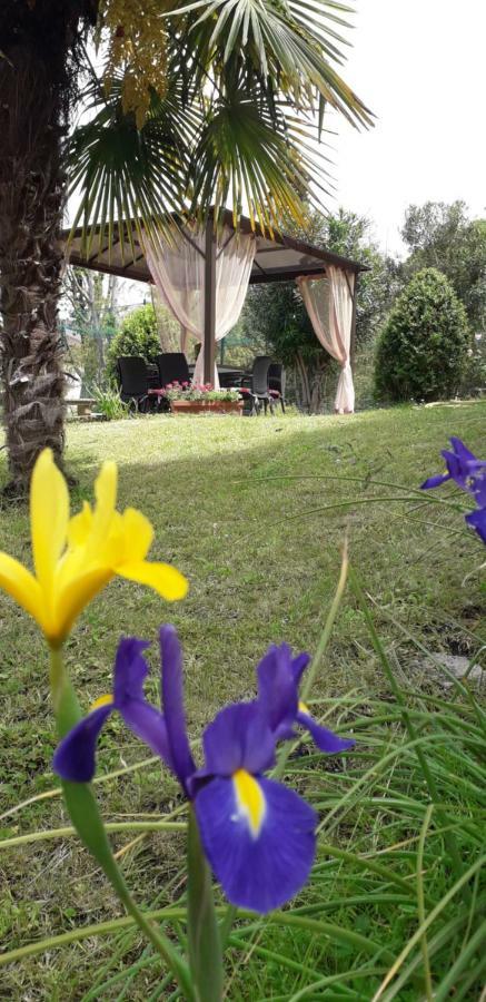 Casa Betania Casa Per Ferie Hotel Firenze Kültér fotó